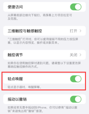 瀍河回族苹果授权维修站分享iPhone轻点无法唤醒怎么办 
