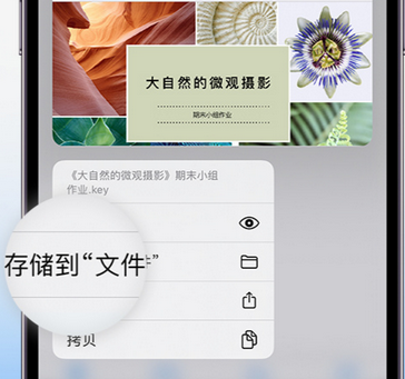 瀍河回族apple维修中心分享iPhone文件应用中存储和找到下载文件