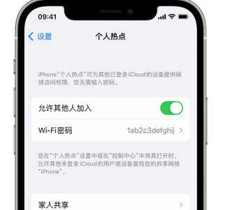 瀍河回族apple服务站点分享iPhone上个人热点丢失了怎么办 