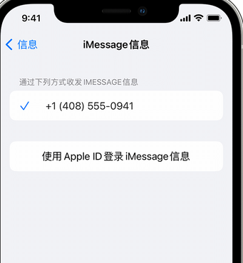 瀍河回族apple维修iPhone上无法正常发送iMessage信息 