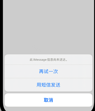 瀍河回族apple维修iPhone上无法正常发送iMessage信息