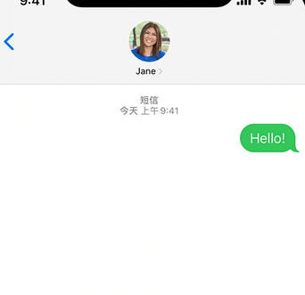 瀍河回族apple维修iPhone上无法正常发送iMessage信息