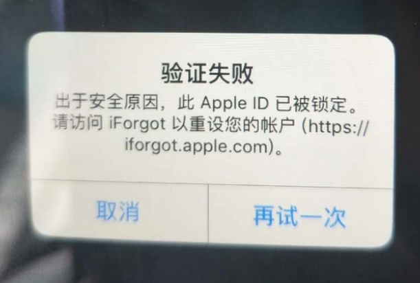 瀍河回族iPhone维修分享iPhone上正常登录或使用AppleID怎么办 