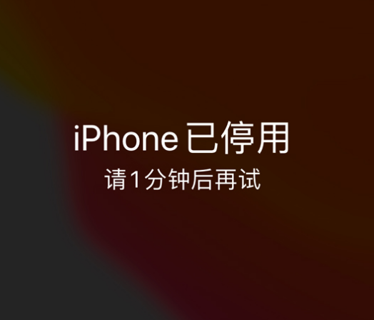 瀍河回族苹果手机维修分享:iPhone 显示“不可用”或“已停用”怎么办？还能保留数据吗？ 