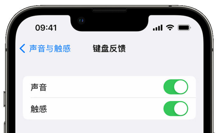 瀍河回族苹果手机维修分享iPhone 14触感键盘使用方法 