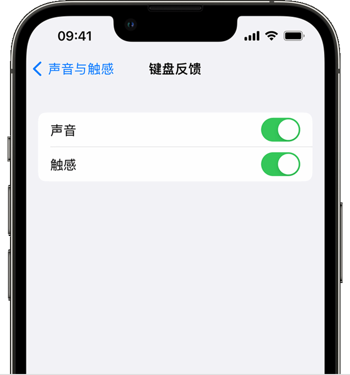 瀍河回族苹果14维修店分享如何在 iPhone 14 机型中使用触感键盘 