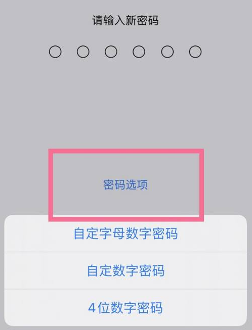 瀍河回族苹果14维修分享iPhone 14plus设置密码的方法 