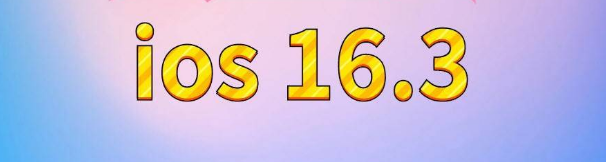 瀍河回族苹果服务网点分享苹果iOS16.3升级反馈汇总 