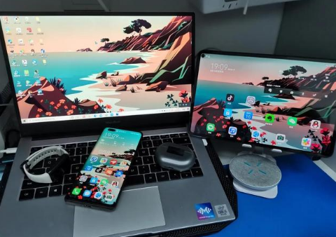 瀍河回族苹果手机维修分享为什么iPad屏幕更大价格却比iPhone低 