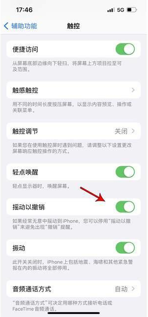 瀍河回族苹果手机维修分享iPhone手机如何设置摇一摇删除文字 