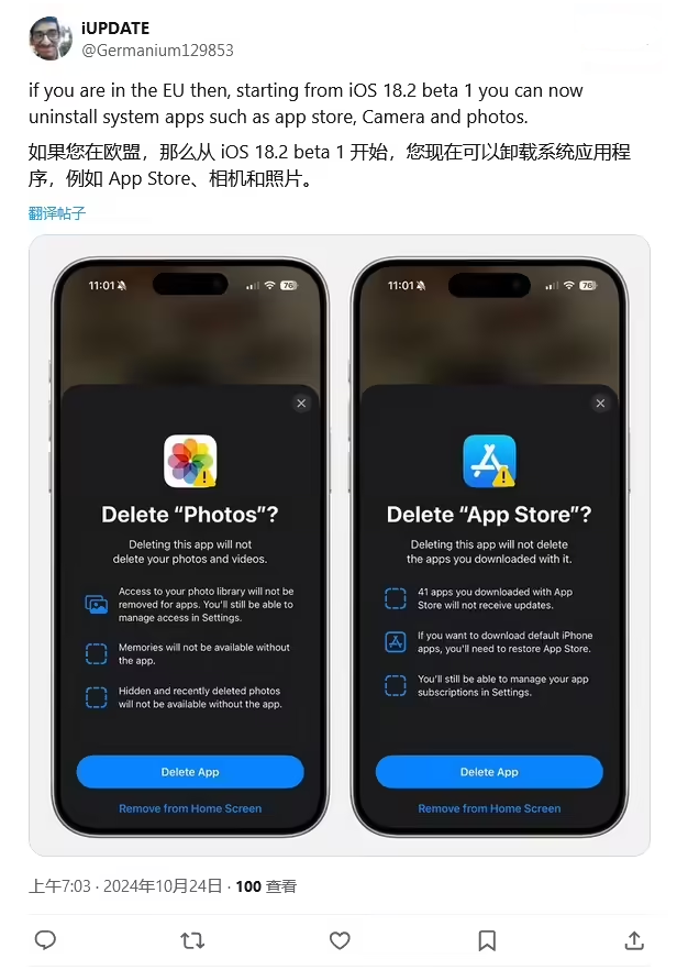 瀍河回族苹果手机维修分享iOS 18.2 支持删除 App Store 应用商店 