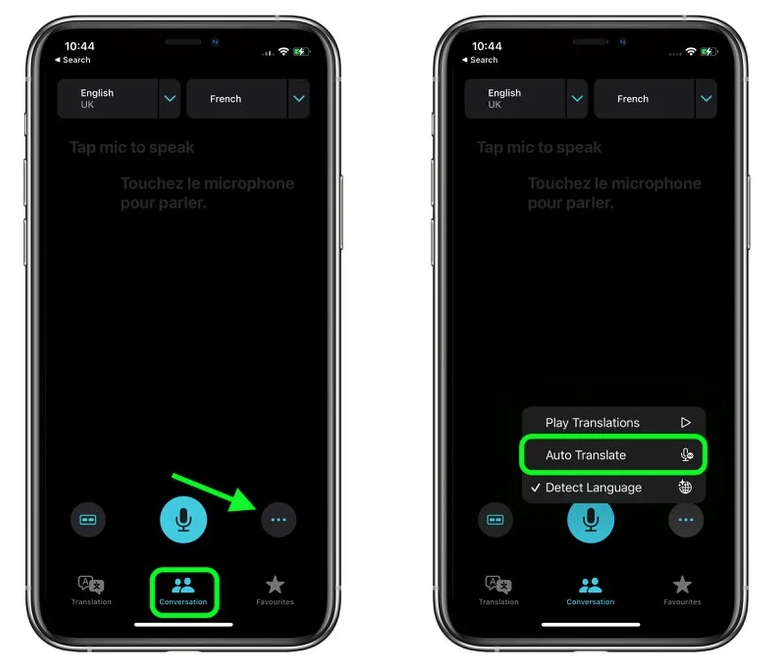瀍河回族苹果手机维修分享iOS 15 “翻译” App 新改进 