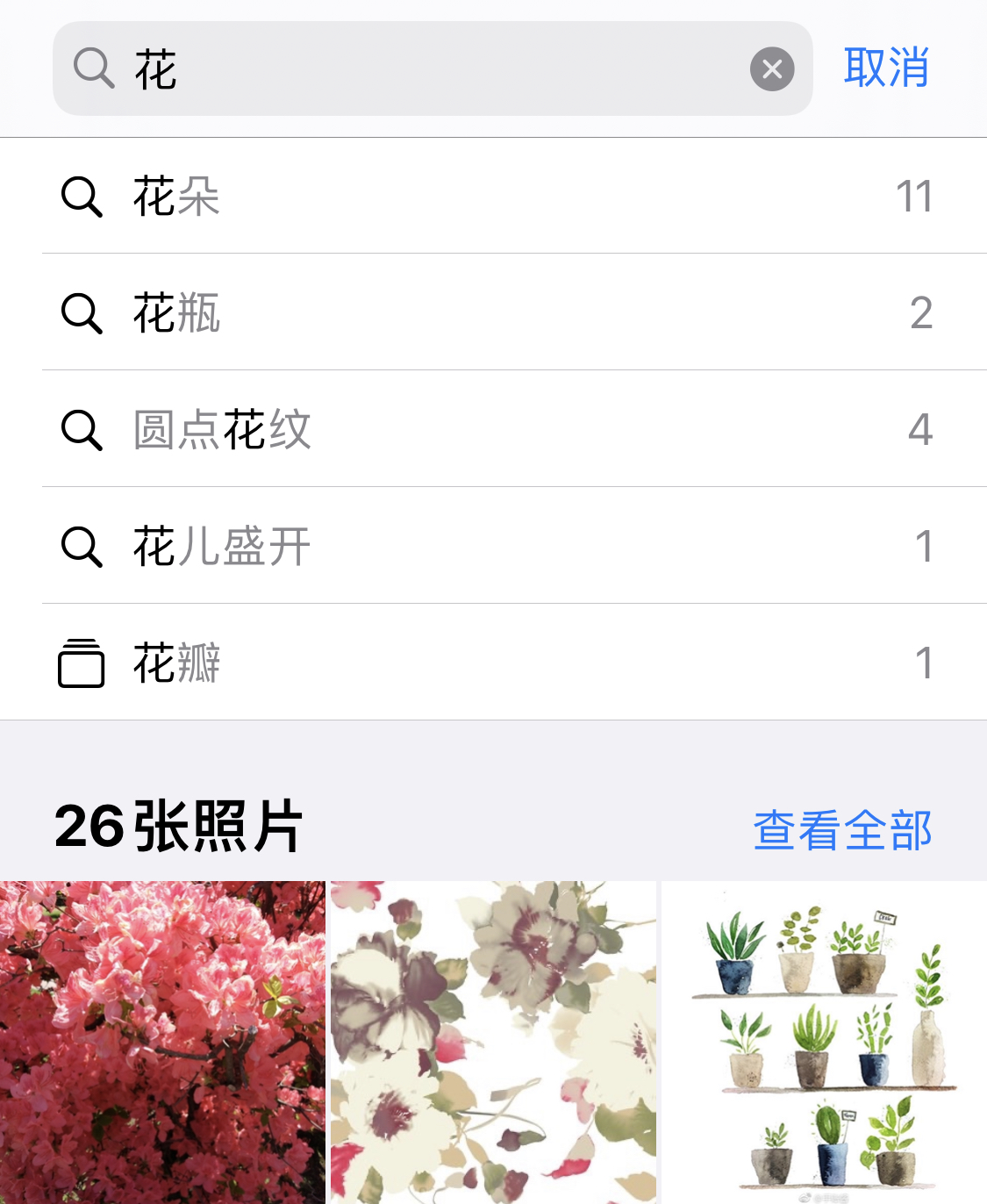 瀍河回族苹果手机维修分享iPhone 小技巧 