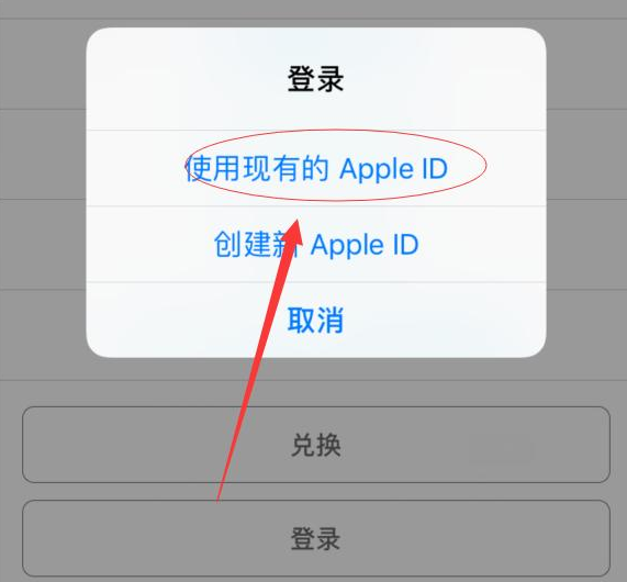 瀍河回族苹果手机维修分享两台iPhone设备可以同时登录一个Apple ID吗 