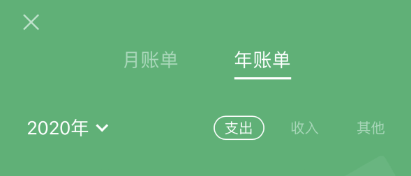 瀍河回族苹果手机维修分享如何在 iPhone 上查看支付宝和微信年支出账单 